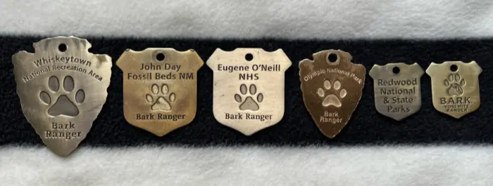 Bark Ranger Dog Tag