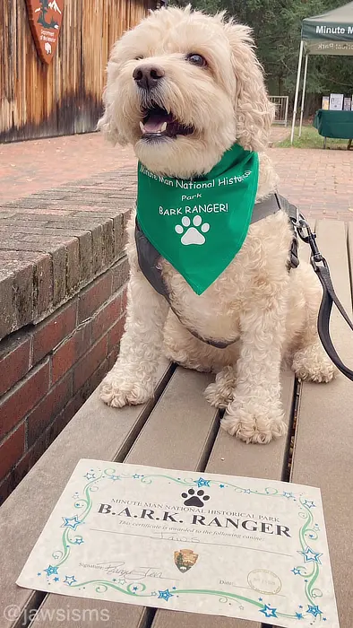 Bark Ranger Dog Bandana 