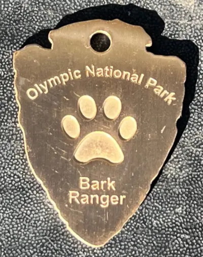 Bark Ranger Dog Tag - Shop Americas National Parks