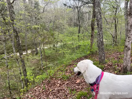 Natchez Trace Parkway