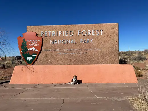 Petrified Forest