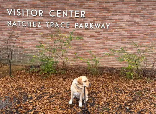 Natchez Trace Parkway