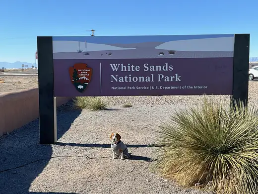 White Sands