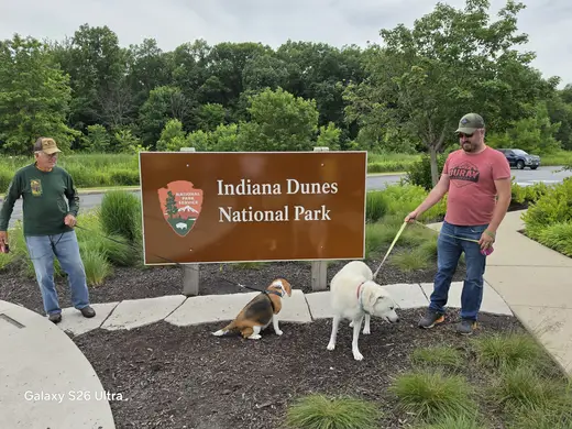 Indiana Dunes