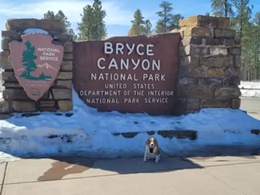 Bryce Canyon