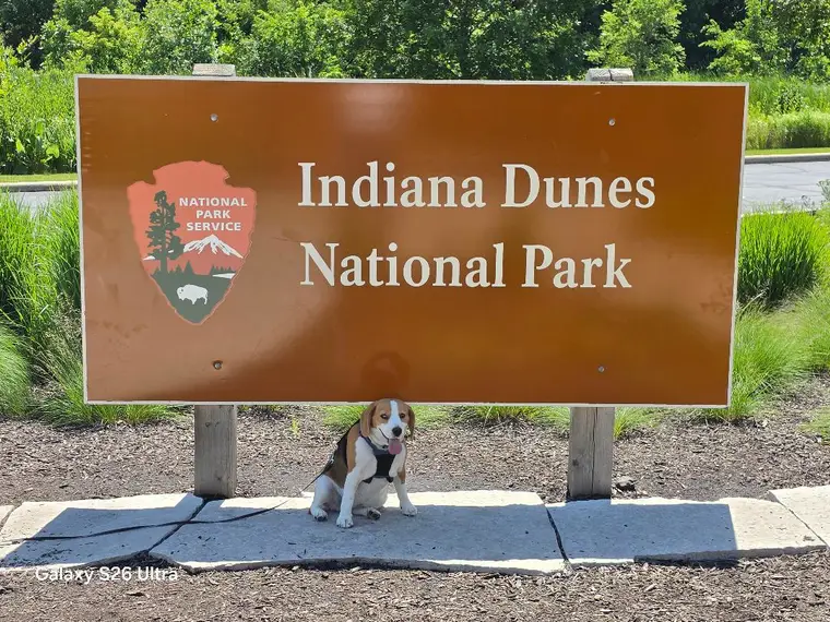 Darci at Indiana Dunes National Park