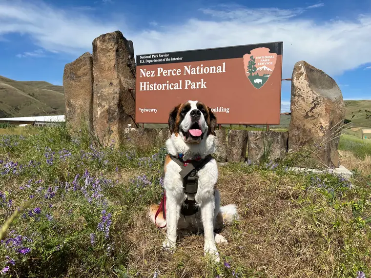 Wednesday at Nez Perce National Historical Park