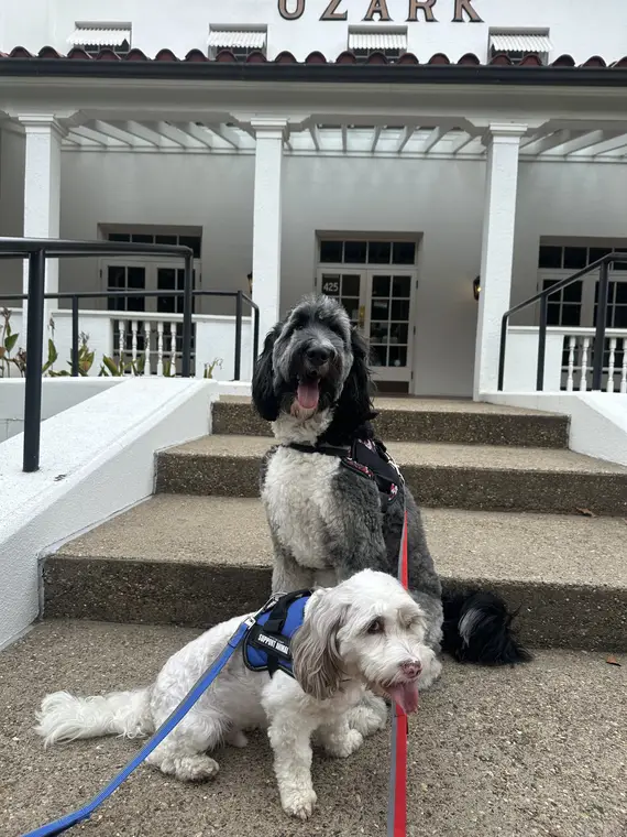 Rowan and Oakley at Hot Springs National Park #2