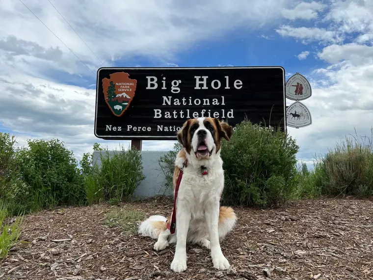 Wednesday at Big Hole National Battlefield