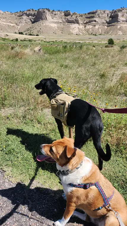 Booth and Náníbaá at Scotts Bluff National Monument