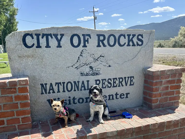 Coal and Daisy in City of Rocks