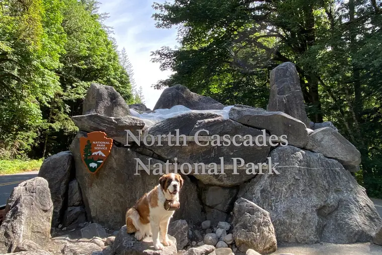 Wednesday at North Cascades National Park