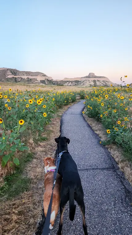 Booth and Náníbaá at Scotts Bluff National Monument