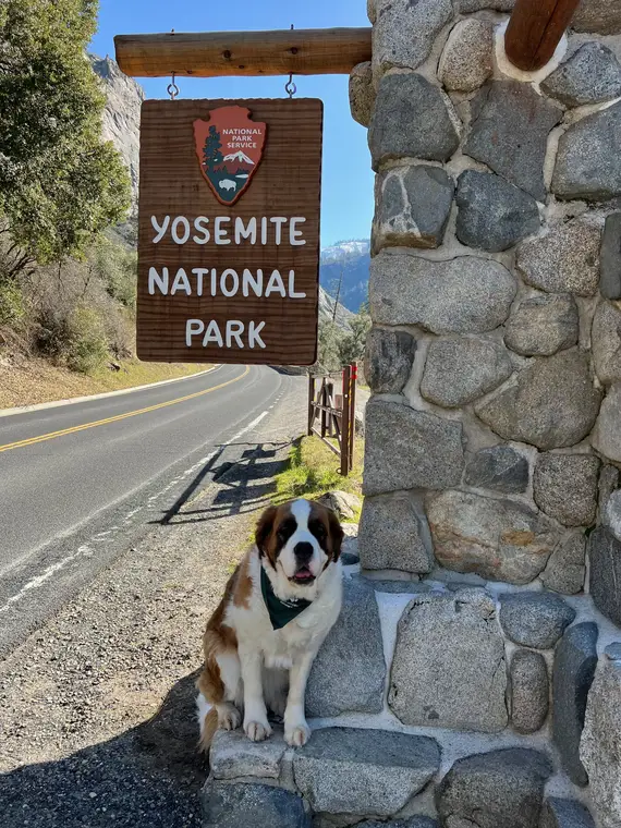 Wednesday at Yosemite #1