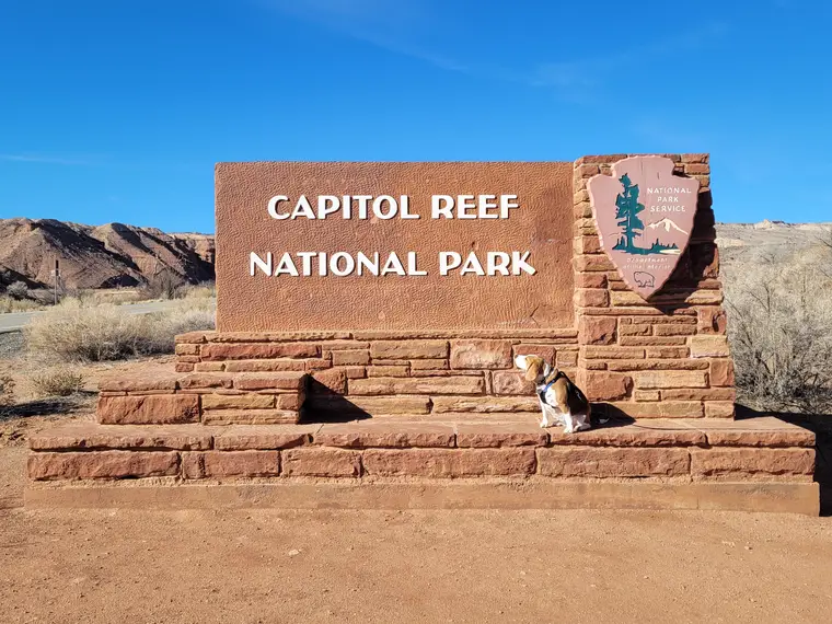 Darci @ Capitol Reef