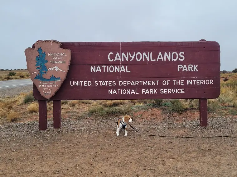 Darci @ Canyonlands