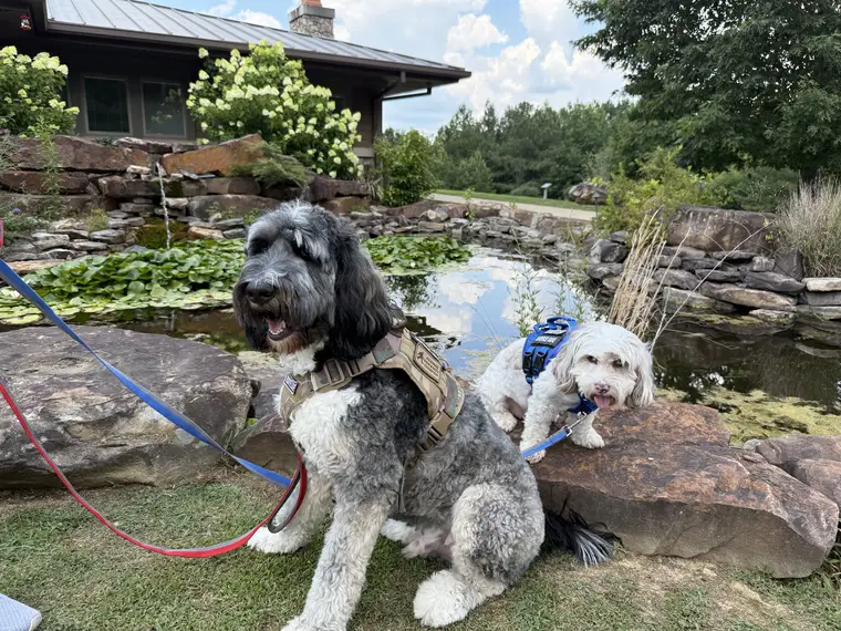 Rowan & Oakley #1
