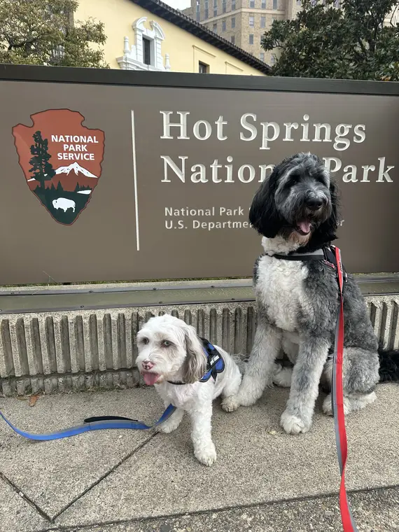 Rowan and Oakley at Hot Springs National Park